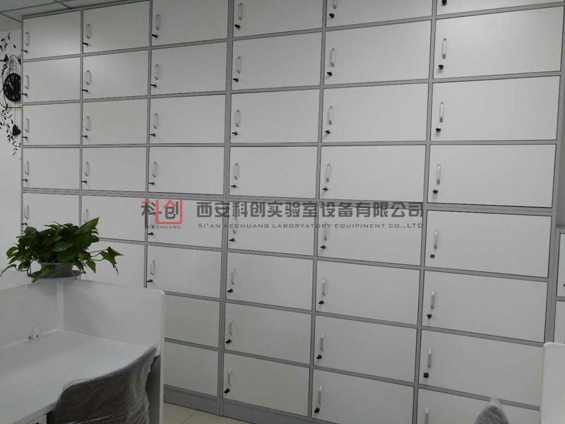 ���¹�